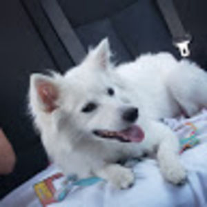 Meet your Posher, Jon